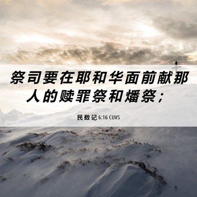 Picture 06 - 民 数 记 6:16 CUVS - 祭 司 要 在 耶 和 华 面 前 献 那 人 - Bible Verse Picture