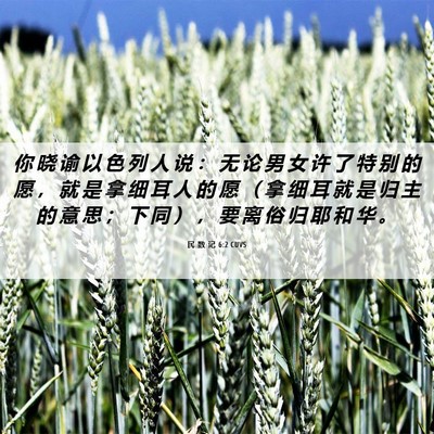 Picture 06 - 民 数 记 6:2 CUVS - 你 晓 谕 以 色 列 人 说 ： 无 论 男 - Bible Verse Picture