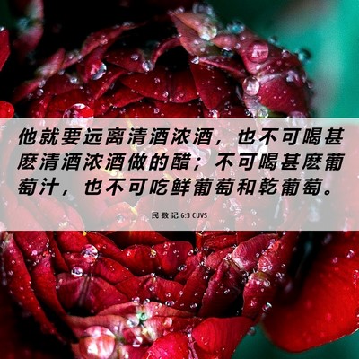 Picture 06 - 民 数 记 6:3 CUVS - 他 就 要 远 离 清 酒 浓 酒 ， 也 不 - Bible Verse Picture