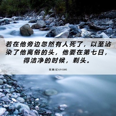 Picture 06 - 民 数 记 6:9 CUVS - 若 在 他 旁 边 忽 然 有 人 死 了 ， - Bible Verse Picture