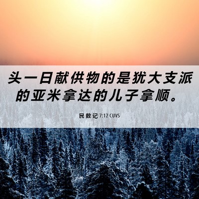 Picture 06 - 民 数 记 7:12 CUVS - 头 一 日 献 供 物 的 是 犹 大 支 派 - Bible Verse Picture