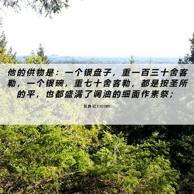 Picture 06 - 民 数 记 7:13 CUVS - 他 的 供 物 是 ： 一 个 银 盘 子 ， - Bible Verse Picture