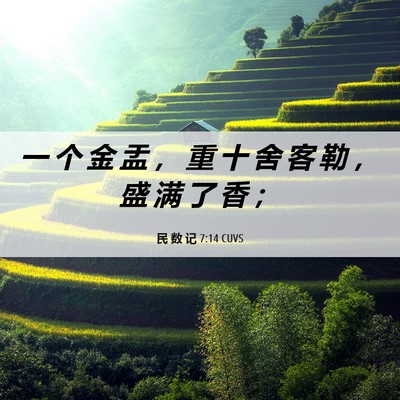 Picture 06 - 民 数 记 7:14 CUVS - 一 个 金 盂 ， 重 十 舍 客 勒 ， 盛 - Bible Verse Picture