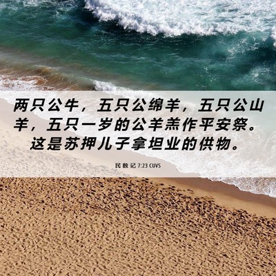 Picture 06 - 民 数 记 7:23 CUVS - 两 只 公 牛 ， 五 只 公 绵 羊 ， 五 - Bible Verse Picture