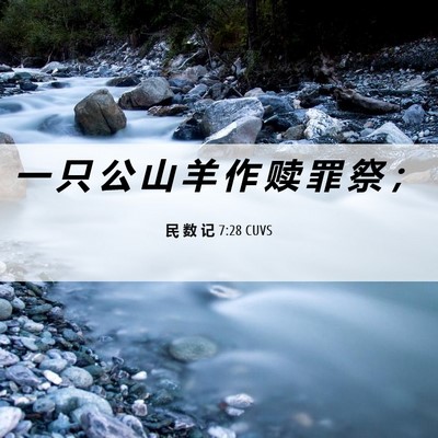 Picture 06 - 民 数 记 7:28 CUVS - 一 只 公 山 羊 作 赎 罪 祭 - Bible Verse Picture
