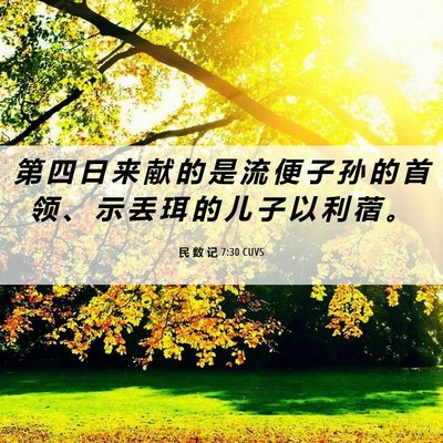 Picture 06 - 民 数 记 7:30 CUVS - 第 四 日 来 献 的 是 流 便 子 孙 的 - Bible Verse Picture