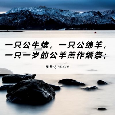 Picture 06 - 民 数 记 7:33 CUVS - 一 只 公 牛 犊 ， 一 只 公 绵 羊 ， - Bible Verse Picture