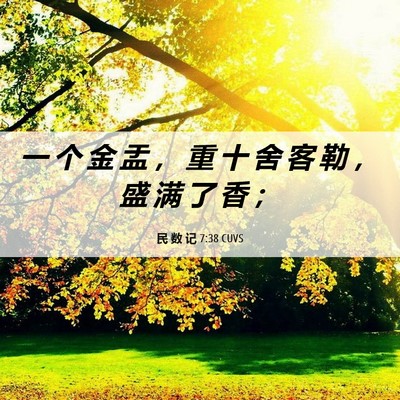 Picture 06 - 民 数 记 7:38 CUVS - 一 个 金 盂 ， 重 十 舍 客 勒 ， 盛 - Bible Verse Picture