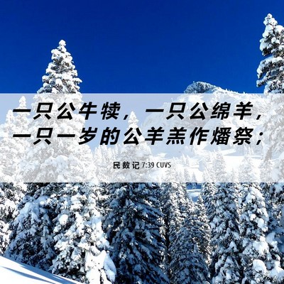 Picture 06 - 民 数 记 7:39 CUVS - 一 只 公 牛 犊 ， 一 只 公 绵 羊 ， - Bible Verse Picture
