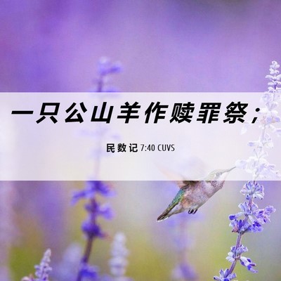 Picture 06 - 民 数 记 7:40 CUVS - 一 只 公 山 羊 作 赎 罪 祭 - Bible Verse Picture