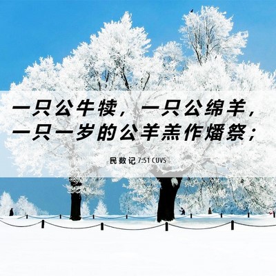 Picture 06 - 民 数 记 7:51 CUVS - 一 只 公 牛 犊 ， 一 只 公 绵 羊 ， - Bible Verse Picture