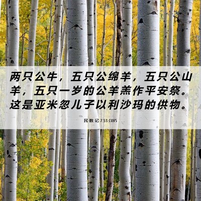 Picture 06 - 民 数 记 7:53 CUVS - 两 只 公 牛 ， 五 只 公 绵 羊 ， 五 - Bible Verse Picture