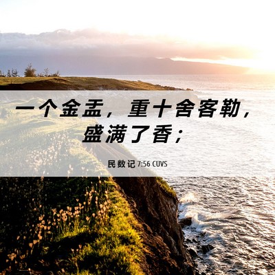 Picture 06 - 民 数 记 7:56 CUVS - 一 个 金 盂 ， 重 十 舍 客 勒 ， 盛 - Bible Verse Picture