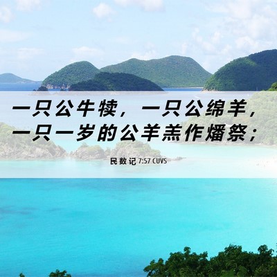 Picture 06 - 民 数 记 7:57 CUVS - 一 只 公 牛 犊 ， 一 只 公 绵 羊 ， - Bible Verse Picture