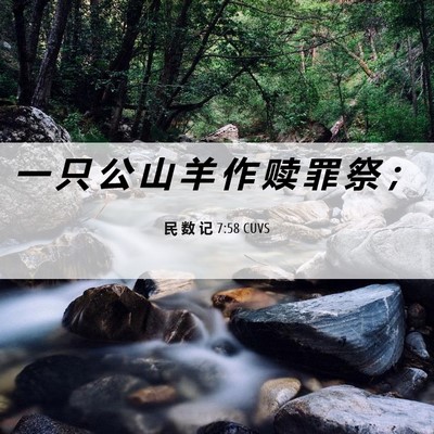 Picture 06 - 民 数 记 7:58 CUVS - 一 只 公 山 羊 作 赎 罪 祭 - Bible Verse Picture