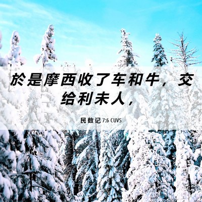 Picture 06 - 民 数 记 7:6 CUVS - 於 是 摩 西 收 了 车 和 牛 ， 交 给 - Bible Verse Picture