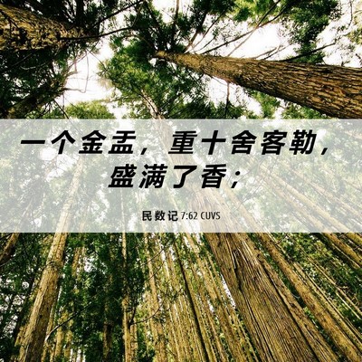 Picture 06 - 民 数 记 7:62 CUVS - 一 个 金 盂 ， 重 十 舍 客 勒 ， 盛 - Bible Verse Picture
