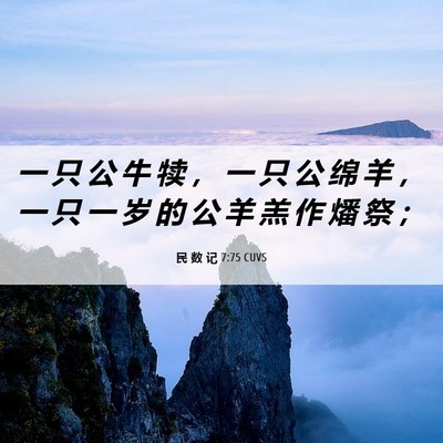 Picture 06 - 民 数 记 7:75 CUVS - 一 只 公 牛 犊 ， 一 只 公 绵 羊 ， - Bible Verse Picture