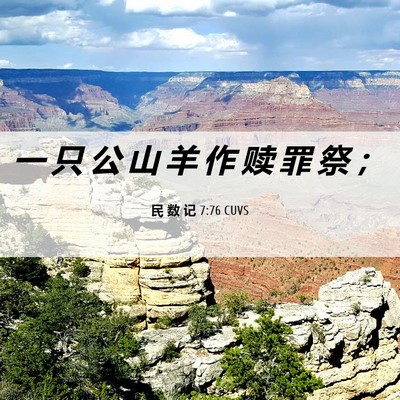 Picture 06 - 民 数 记 7:76 CUVS - 一 只 公 山 羊 作 赎 罪 祭 - Bible Verse Picture