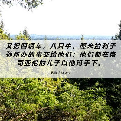 Picture 06 - 民 数 记 7:8 CUVS - 又 把 四 辆 车 ， 八 只 牛 ， 照 米 - Bible Verse Picture