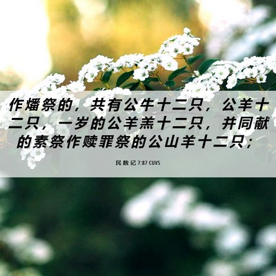 Picture 06 - 民 数 记 7:87 CUVS - 作 燔 祭 的 ， 共 有 公 牛 十 二 只 - Bible Verse Picture