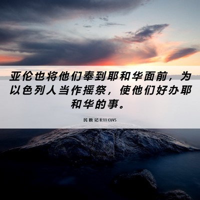 Picture 06 - 民 数 记 8:11 CUVS - 亚 伦 也 将 他 们 奉 到 耶 和 华 面 - Bible Verse Picture