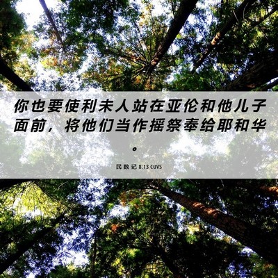 Picture 06 - 民 数 记 8:13 CUVS - 你 也 要 使 利 未 人 站 在 亚 伦 和 - Bible Verse Picture