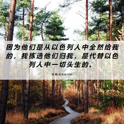 Picture 06 - 民 数 记 8:16 CUVS - 因 为 他 们 是 从 以 色 列 人 中 全 - Bible Verse Picture