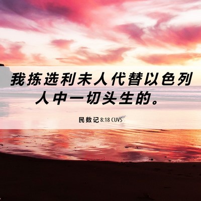 Picture 06 - 民 数 记 8:18 CUVS - 我 拣 选 利 未 人 代 替 以 色 列 人 - Bible Verse Picture