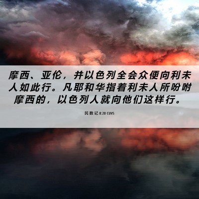 Picture 06 - 民 数 记 8:20 CUVS - 摩 西 、 亚 伦 ， 并 以 色 列 全 会 - Bible Verse Picture