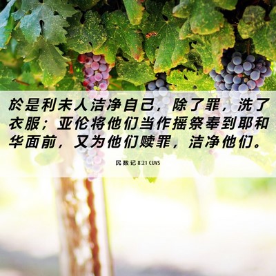 Picture 06 - 民 数 记 8:21 CUVS - 於 是 利 未 人 洁 净 自 己 ， 除 了 - Bible Verse Picture