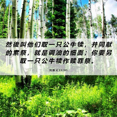 Picture 06 - 民 数 记 8:8 CUVS - 然 後 叫 他 们 取 一 只 公 牛 犊 ， - Bible Verse Picture