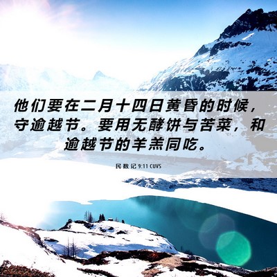 Picture 06 - 民 数 记 9:11 CUVS - 他 们 要 在 二 月 十 四 日 黄 昏 的 - Bible Verse Picture