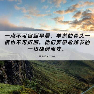 Picture 06 - 民 数 记 9:12 CUVS - 一 点 不 可 留 到 早 晨 ； 羊 羔 的 - Bible Verse Picture