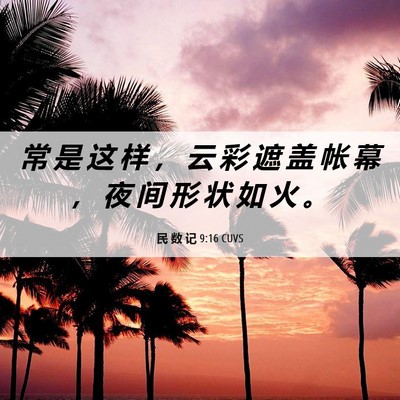 Picture 06 - 民 数 记 9:16 CUVS - 常 是 这 样 ， 云 彩 遮 盖 帐 幕 ， - Bible Verse Picture