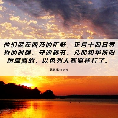 Picture 06 - 民 数 记 9:5 CUVS - 他 们 就 在 西 乃 的 旷 野 ， 正 月 - Bible Verse Picture