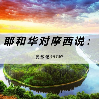 Picture 06 - 民 数 记 9:9 CUVS - 耶 和 华 对 摩 西 说 - Bible Verse Picture