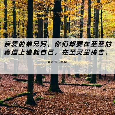 Picture 06 - 犹 大 书 1:20 CUVS - 亲 爱 的 弟 兄 阿 ， 你 们 却 要 在 - Bible Verse Picture