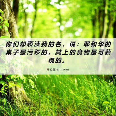 Picture 06 - 玛 拉 基 书 1:12 CUVS - 你 们 却 亵 渎 我 的 名 ， 说 ： 耶 - Bible Verse Picture