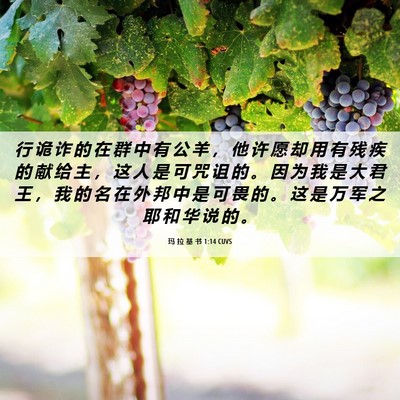 Picture 06 - 玛 拉 基 书 1:14 CUVS - 行 诡 诈 的 在 群 中 有 公 羊 ， 他 - Bible Verse Picture