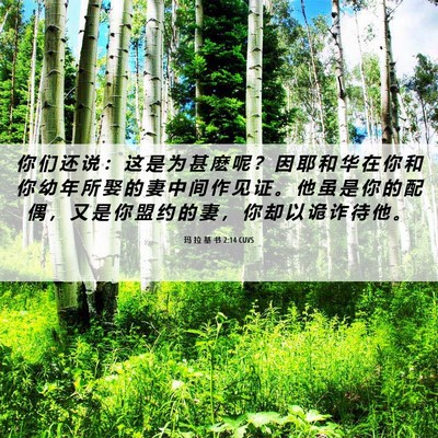 Picture 06 - 玛 拉 基 书 2:14 CUVS - 你 们 还 说 ： 这 是 为 甚 麽 呢 ？ - Bible Verse Picture