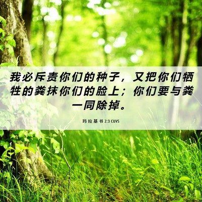 Picture 06 - 玛 拉 基 书 2:3 CUVS - 我 必 斥 责 你 们 的 种 子 ， 又 把 - Bible Verse Picture