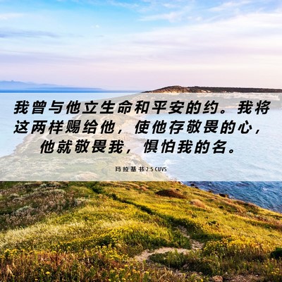 Picture 06 - 玛 拉 基 书 2:5 CUVS - 我 曾 与 他 立 生 命 和 平 安 的 约 - Bible Verse Picture