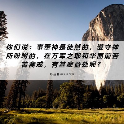 Picture 06 - 玛 拉 基 书 3:14 CUVS - 你 们 说 ： 事 奉 神 是 徒 然 的 ， - Bible Verse Picture