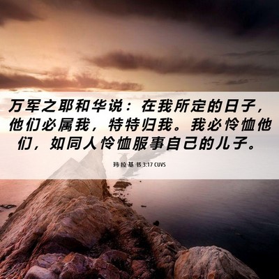 Picture 06 - 玛 拉 基 书 3:17 CUVS - 万 军 之 耶 和 华 说 ： 在 我 所 定 - Bible Verse Picture