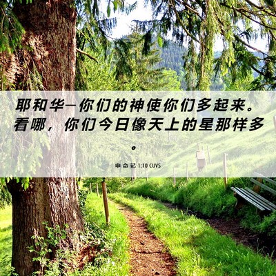 Picture 06 - 申 命 记 1:10 CUVS - 耶 和 华 ─ 你 们 的 神 使 你 们 多 - Bible Verse Picture