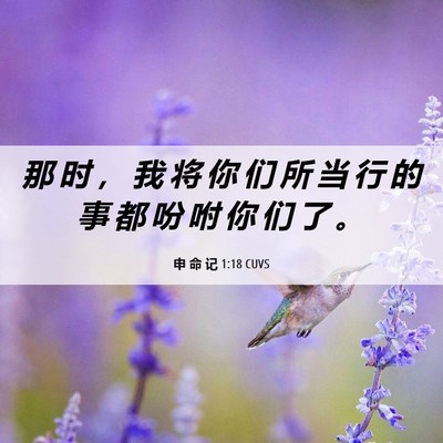 Picture 06 - 申 命 记 1:18 CUVS - 那 时 ， 我 将 你 们 所 当 行 的 事 - Bible Verse Picture