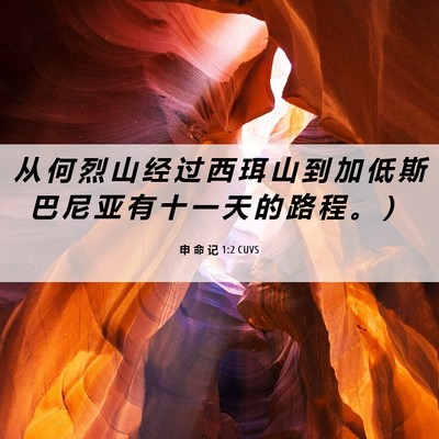 Picture 06 - 申 命 记 1:2 CUVS - 从 何 烈 山 经 过 西 珥 山 到 加 低 - Bible Verse Picture