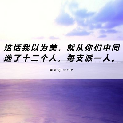 Picture 06 - 申 命 记 1:23 CUVS - 这 话 我 以 为 美 ， 就 从 你 们 中 - Bible Verse Picture