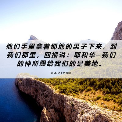 Picture 06 - 申 命 记 1:25 CUVS - 他 们 手 里 拿 着 那 地 的 果 子 下 - Bible Verse Picture